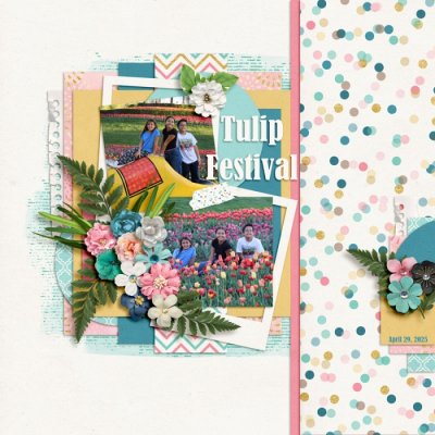 Tulip Festival