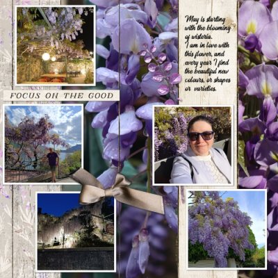 May passport 1