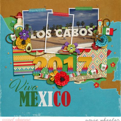 Viva Mexico
