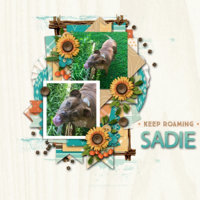 Sadie Exploring