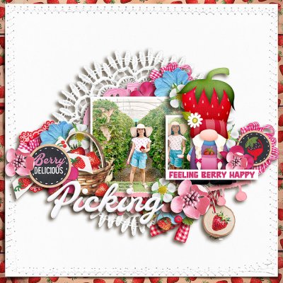 berry delicious picking