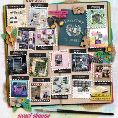 zinzilah_May_Passport