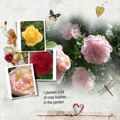 Roses