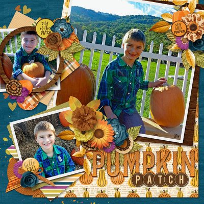 Pumpkin Patch