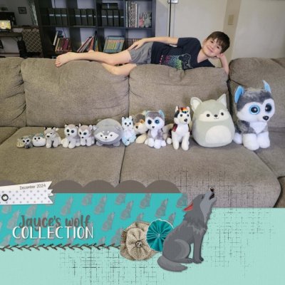 Collection