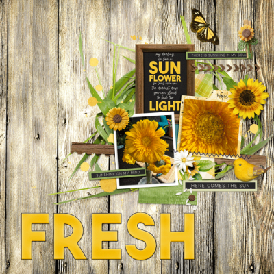 Fresh Sun