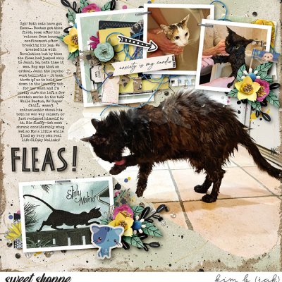 Fleas!