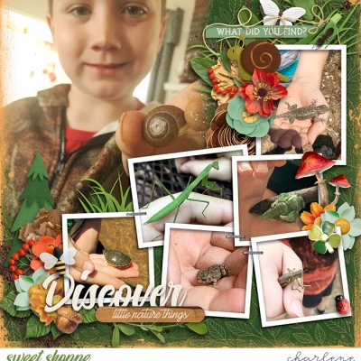 Discover Little Nature Things
