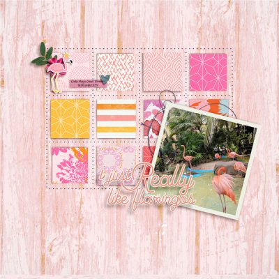 Designed by Soco x EHStudios - Flamazing Flamingos