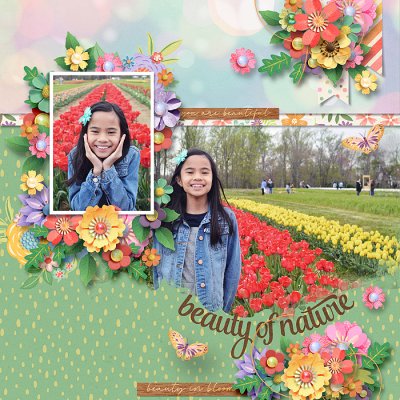 Beauty of Nature