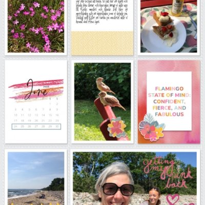 Week 26a 2024