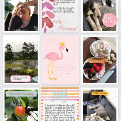 Week 26b 2024