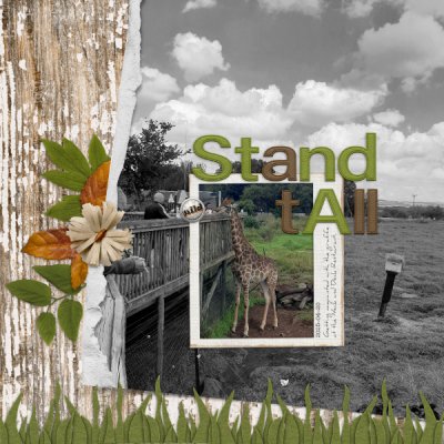 2025-04-20_StandTall