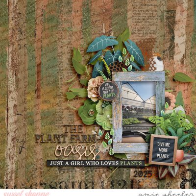 The Plant Farm Oasis