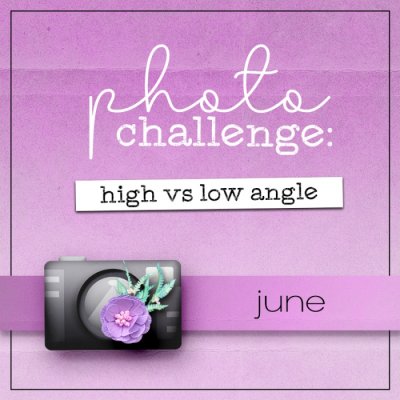 June Photography Challenge: High vs Low Angle