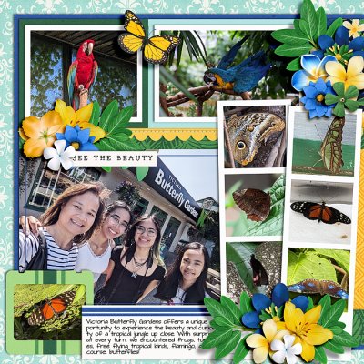 Snapshots - Left