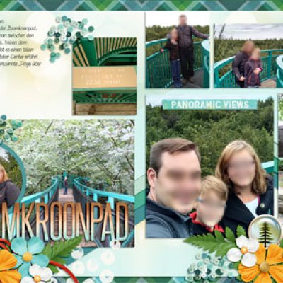 boomkroonpad