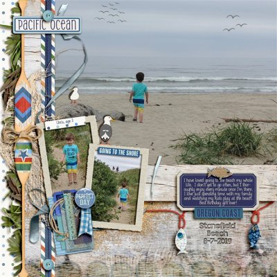 Stonefield Beach 2019 - Chris