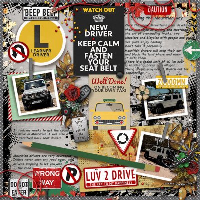 License to drive