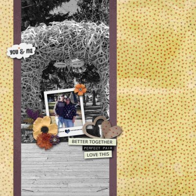 Jackson Hole Anniversary Trip (Polaroid Challenge)