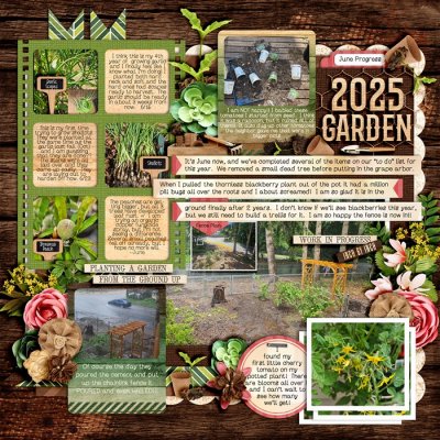 Garden 2025 - June Progress