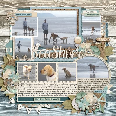 At the Sea Shore