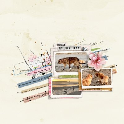sbasic-ccinventoryofme-tracy