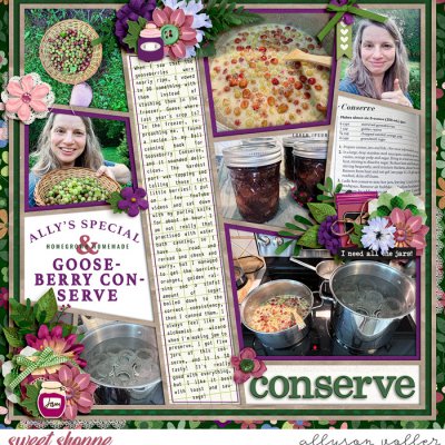 Gooseberry Conserve