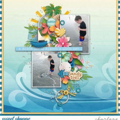 Surfside Stories