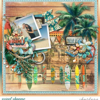 Cabo Paradise