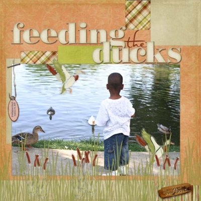 Feeding The Ducks
