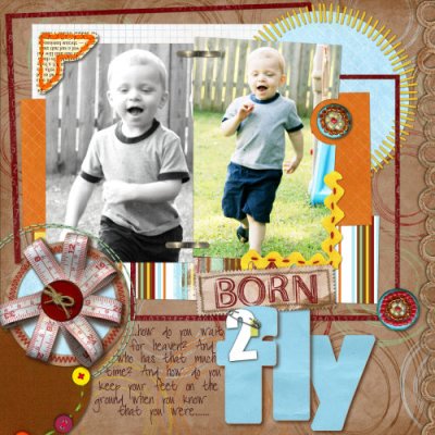 Born 2 Fly