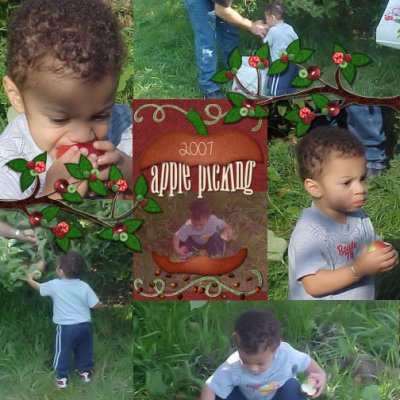 Apple Picking