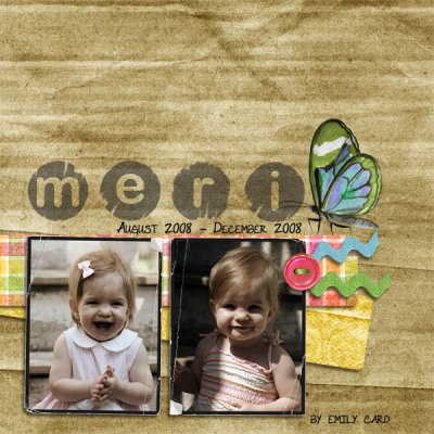 Cover for Meri's 2nd year book part 1