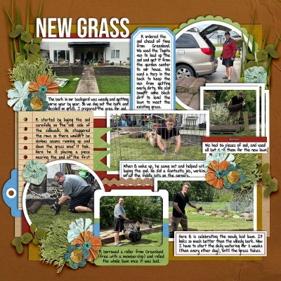 New Grass