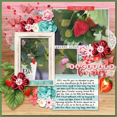 backyard berries