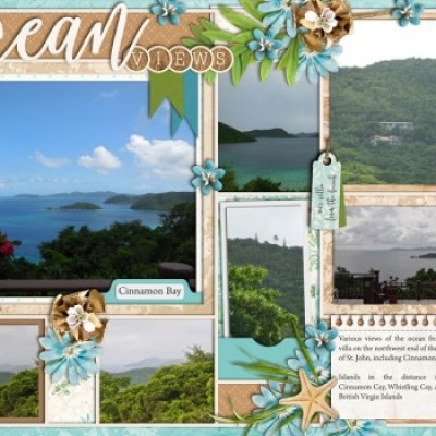 Ocean Views- St. John (SST 2025)