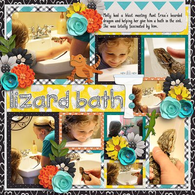 Lizard Bath