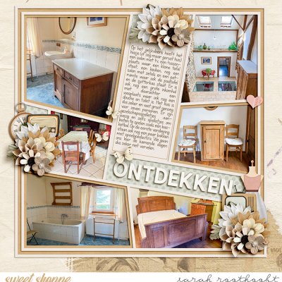 Ontdekken