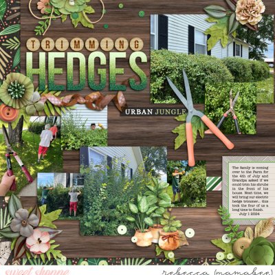 trimming hedges