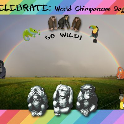 ARCHES - Go Wild!