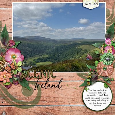 Scenic Ireland - Guinness Lake