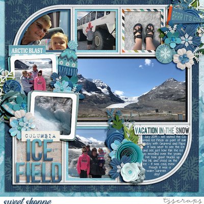 Columbia Ice Field - SAT Week 2 Getaway - Switzerland