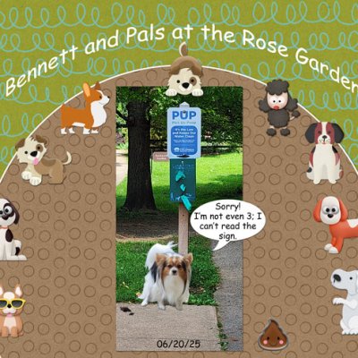 Bennett and Pals at the Rose Garden