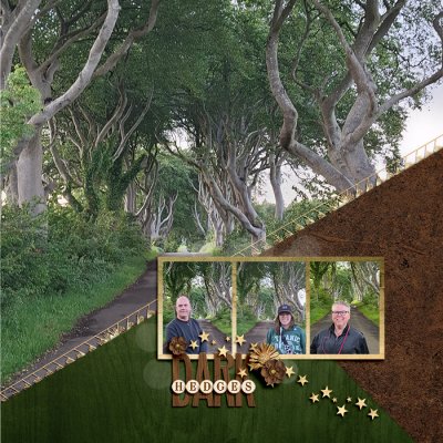 Dark Hedges
