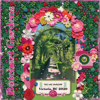 The Rose Garden