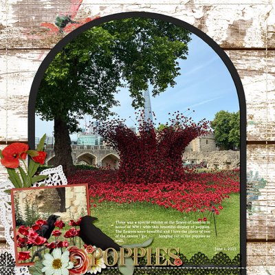 Poppies at Tower of London