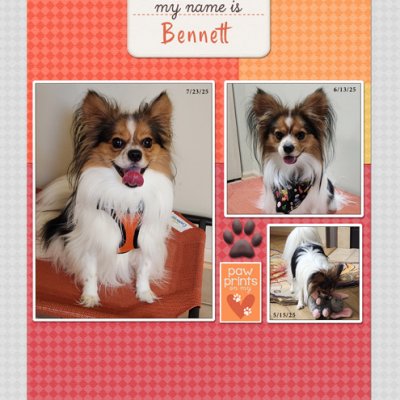 Hello, My Name is Bennett