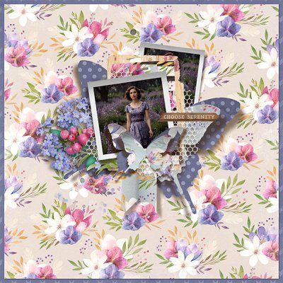 sweet_shoppe_2025_07_provence