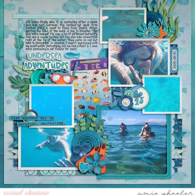 Undersea Adventures